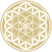 File:HGH Flower of Life.png