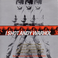 I Shot Andy Warhol album cover.jpg