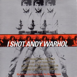 I Shot Andy Warhol
